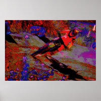 Sharp Turn   -  Motocross Dirt-Bike Racer