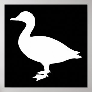 Affiches Sheldrake Duck