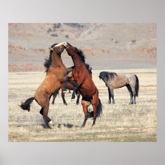 Affiches Shenanigans (Devant)