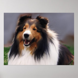 Affiches Shetland Sheepdog Sheltie Art Cadeaux