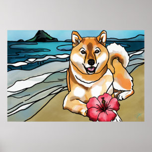 Affiches Shiba Inu au Casquette de Chinaman, Hawaii