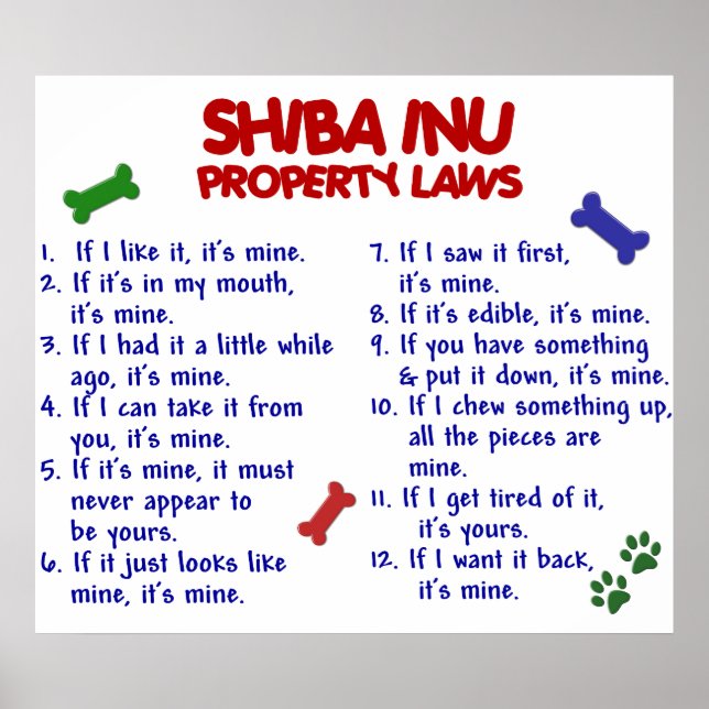 AFFICHES SHIBA INU PL2 (Devant)