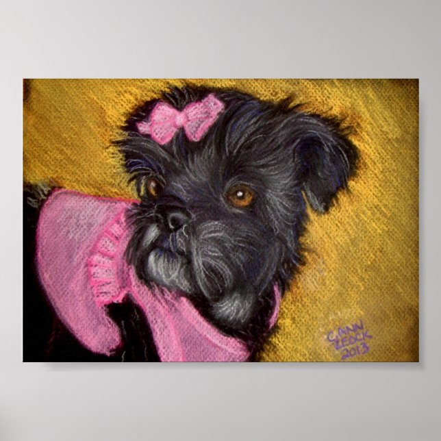 Affiches Shih-tzu avec cou rose (Devant)