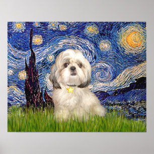 Affiches Shih Tzu (Y) - Starry Night