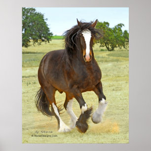 Affiches Shire galopant