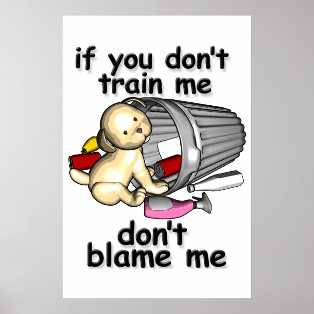 Affiches Si tu ne m'entraîne pas, ne me blâme pas (Devant)