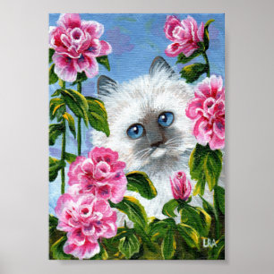 Affiches Siamese Ragdoll Chat Rose Roses Créationarts