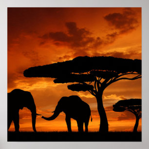 Affiches Silhouette africaine d'éléphant d'arbre de baobab