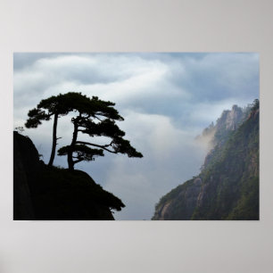 Affiches Silhouette arborée au lever du soleil, Montagne Ja