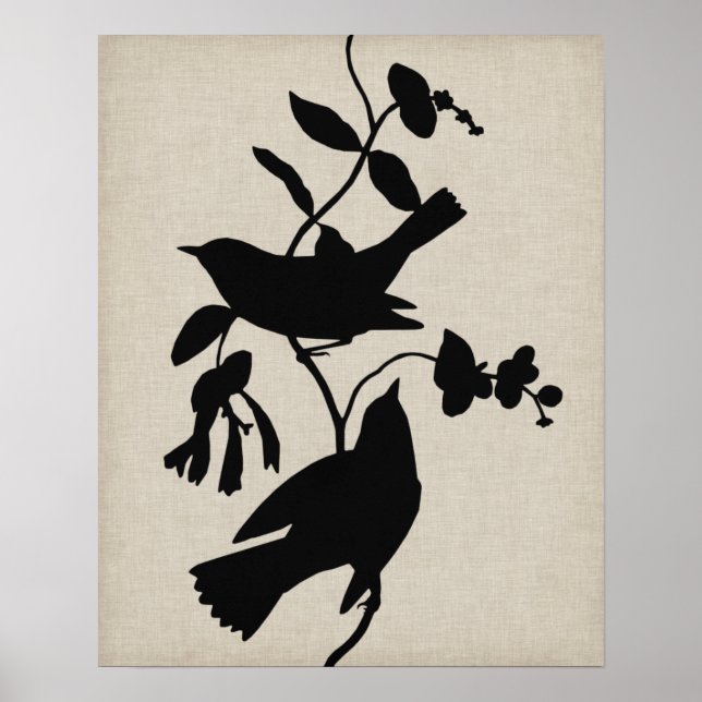Affiches Silhouette Audubon IV (Devant)