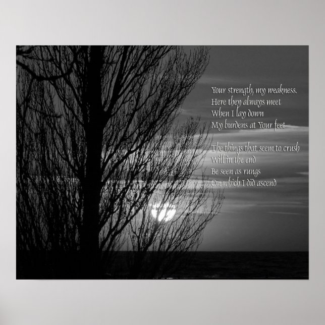 Affiches Silhouette d'arbre hivernal Inspiration (Devant)