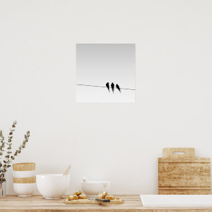 Affiches Silhouette de merles sur un fil contre un ciel dég