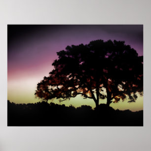 Affiches Silhouette pourpre de coucher du soleil et de