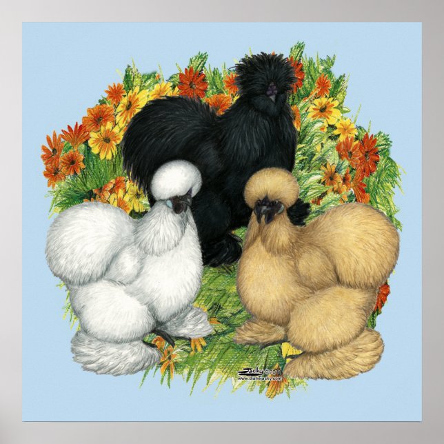 Affiches Silkies du jardin de fleurs (Devant)