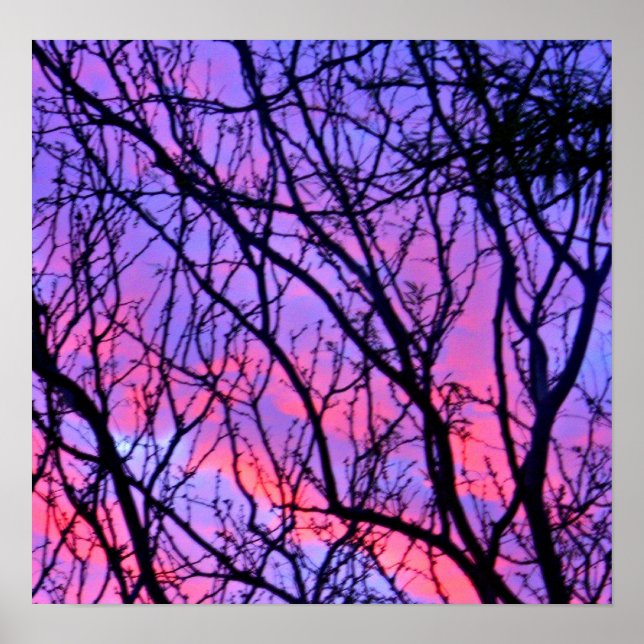 Affiches Silohuette (Devant)