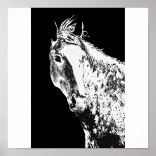 Affiches silver dream