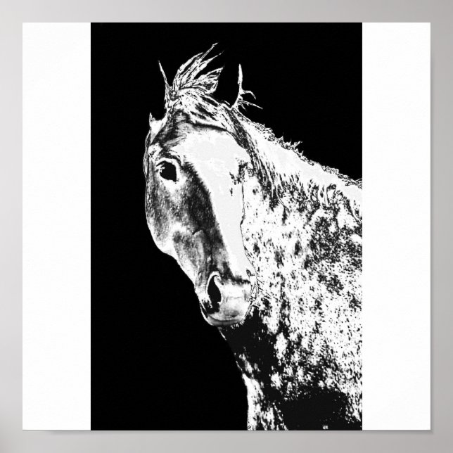 Affiches silver dream (Devant)