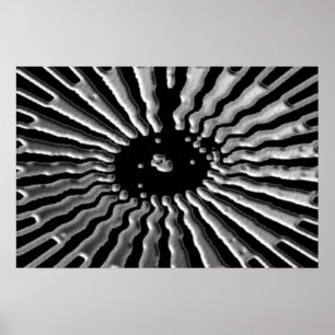 Affiches Silver Star - Plexes solaires