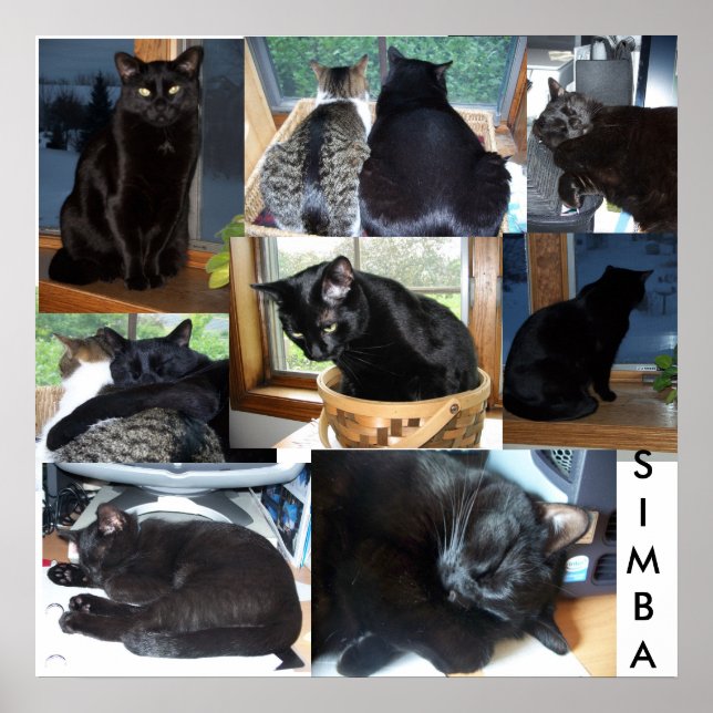 AFFICHES SIMBA (Devant)