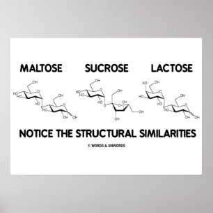 Affiches Similitudes structurelles du maltose Sucrose Lacto