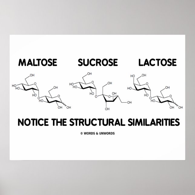 Affiches Similitudes structurelles du maltose Sucrose Lacto (Devant)