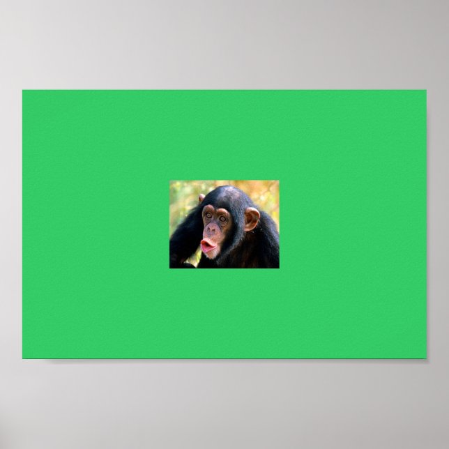 Affiches singe (Devant)