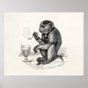 Affiches Singe vintage fumant la pipe Singes Animal