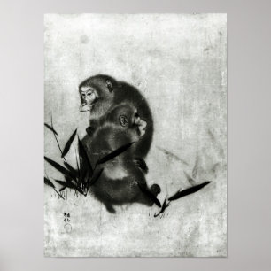 Affiches Singes