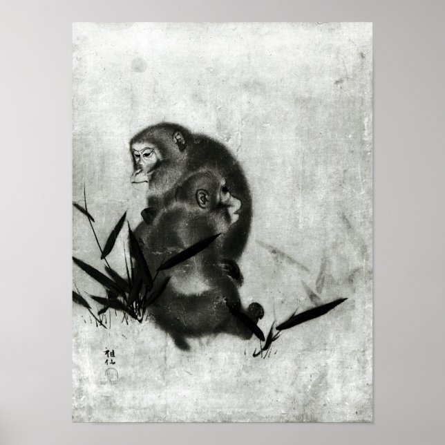 Affiches Singes (Devant)