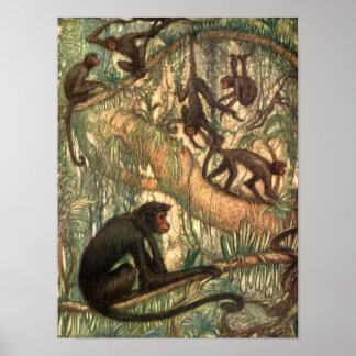 Affiches Singes araignées à facettes rouges par Louis Sarge
