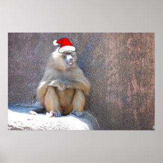 Affiches Singes et babouins de Noël