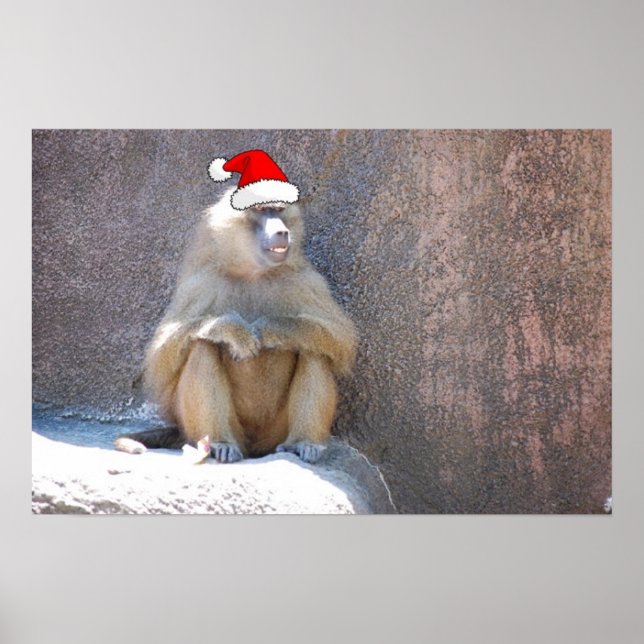 Affiches Singes et babouins de Noël (Devant)