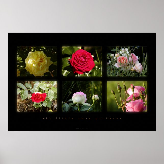 Affiches six petites photos roses (Devant)