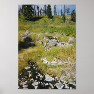 Affiches Skeleton of Elk