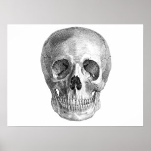 Affiches Skull Sketch perfect for Halloween party needs!