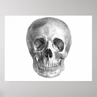 Affiches Skull Sketch perfect for Halloween party needs!
