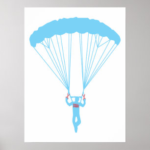 Affiches skydive suicide