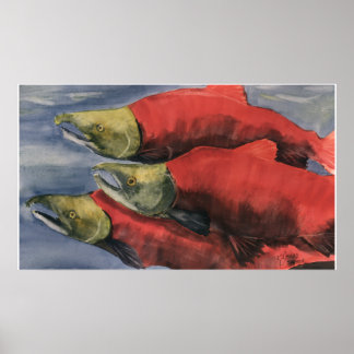 Affiches Slamon' Salmon!