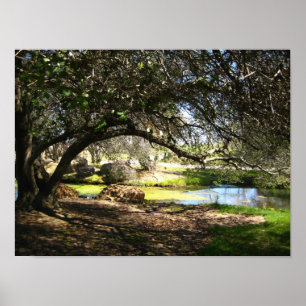 Affiches "Sleepy Hollow