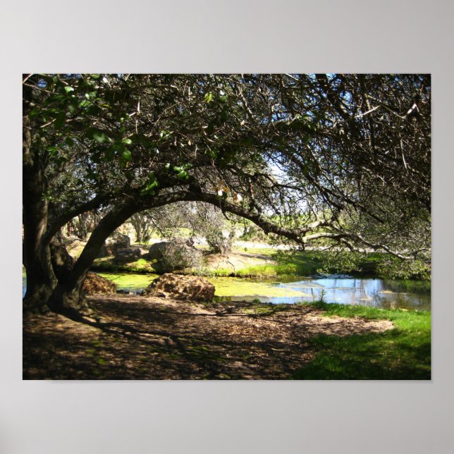 Affiches "Sleepy Hollow (Devant)