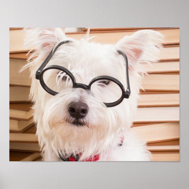 Affiches Smart Doggie (Devant)