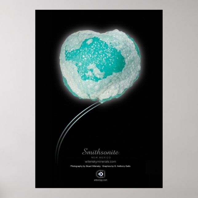 AFFICHES SMITHSONITE (Devant)