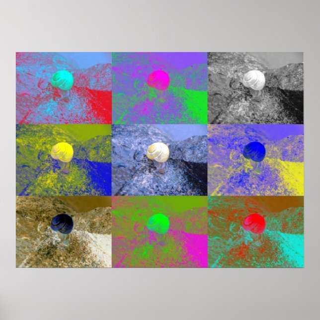 Affiches Snail Cepaea Pop Art (Devant)