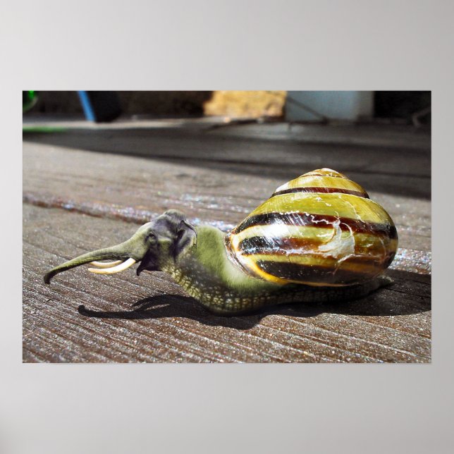 Affiches Snailephant (Devant)