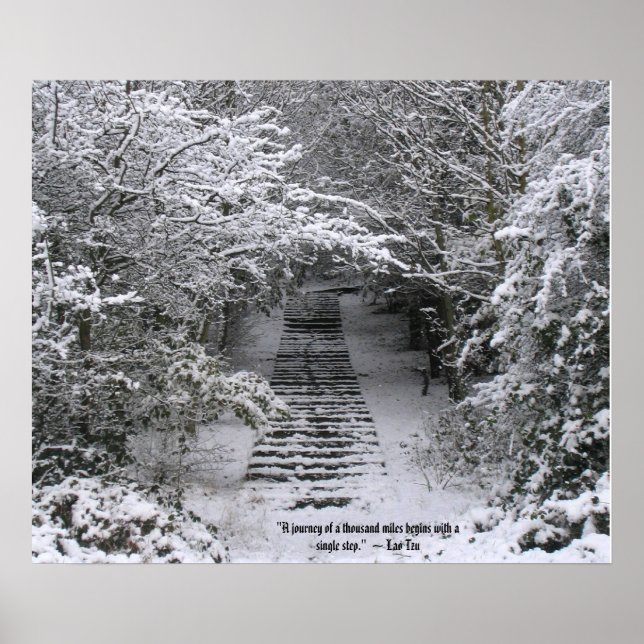 Affiches Snow steps (Devant)