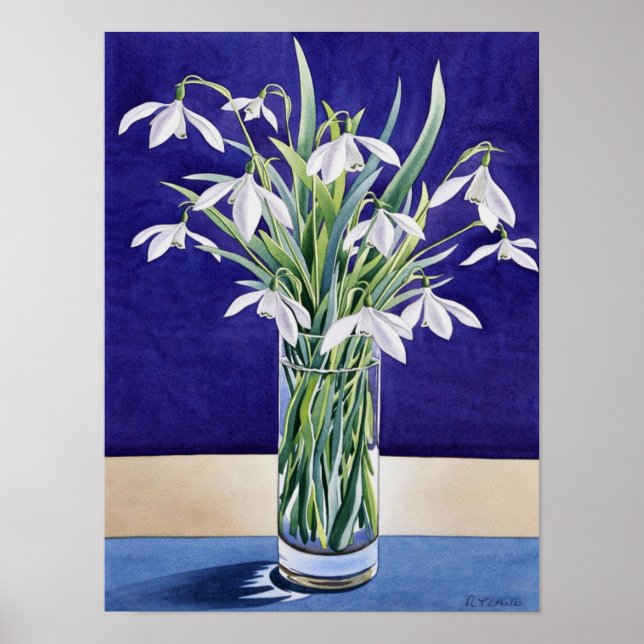 Affiches Snowdrops (Devant)