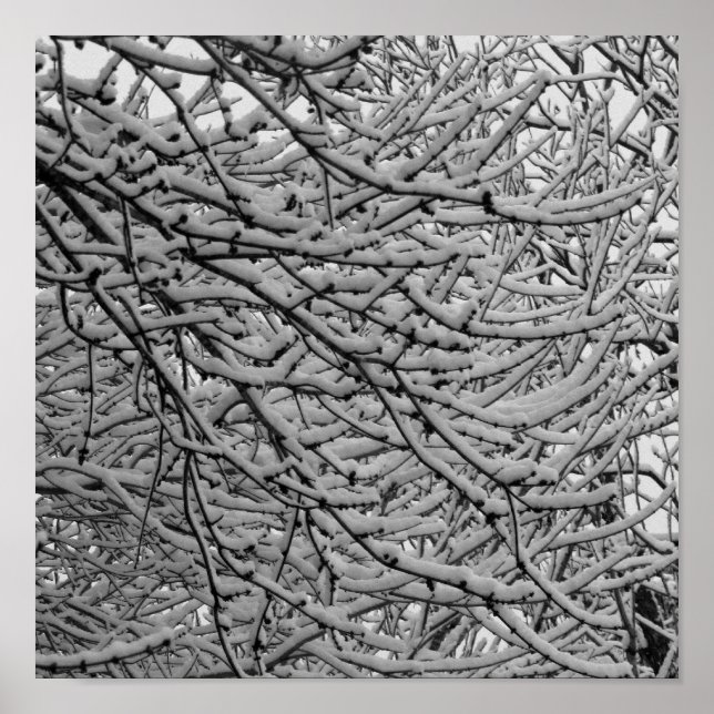 Affiches Snowfall Shreveport (Devant)