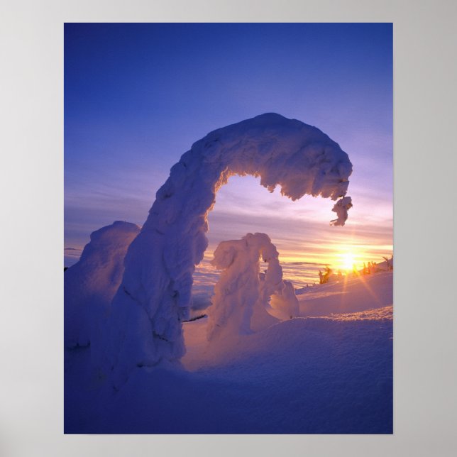 Affiches Snowghosts in the Whitefish Range of Montana (Devant)