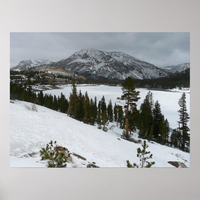 Affiches Snowy Ellery Lake California Paysage hivernal (Devant)