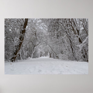 Affiches Snowy Trail